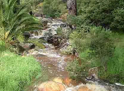  Stream